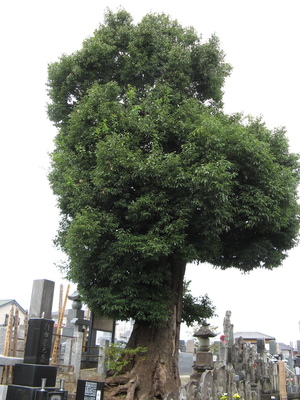 201014-2.jpg