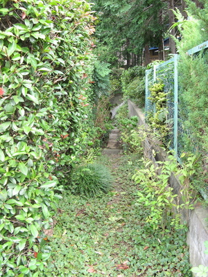 201014-8.jpg